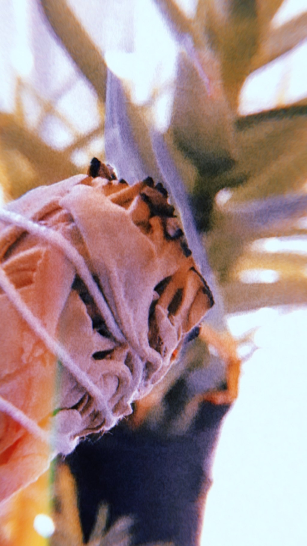 Finding your path to Grief&nbsp;Recovery