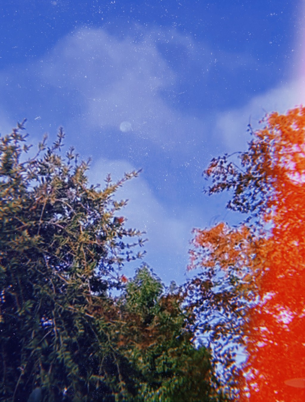 Turn your pain into&nbsp;power